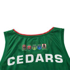Lebanon 2026 Men's Red/Green RLWC Pro Training Singlet ***PRE-ORDER***